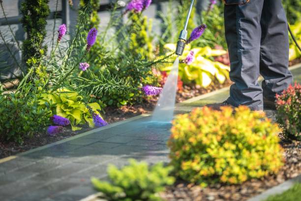 Best Winterizing Services  in Crest, CA
